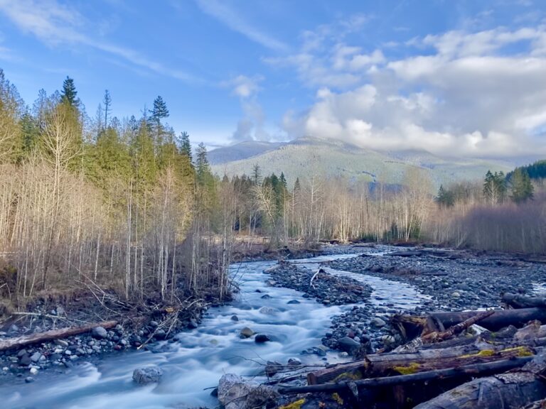 Gorgeous Glacier Creek Near Mt. Baker Ski Area