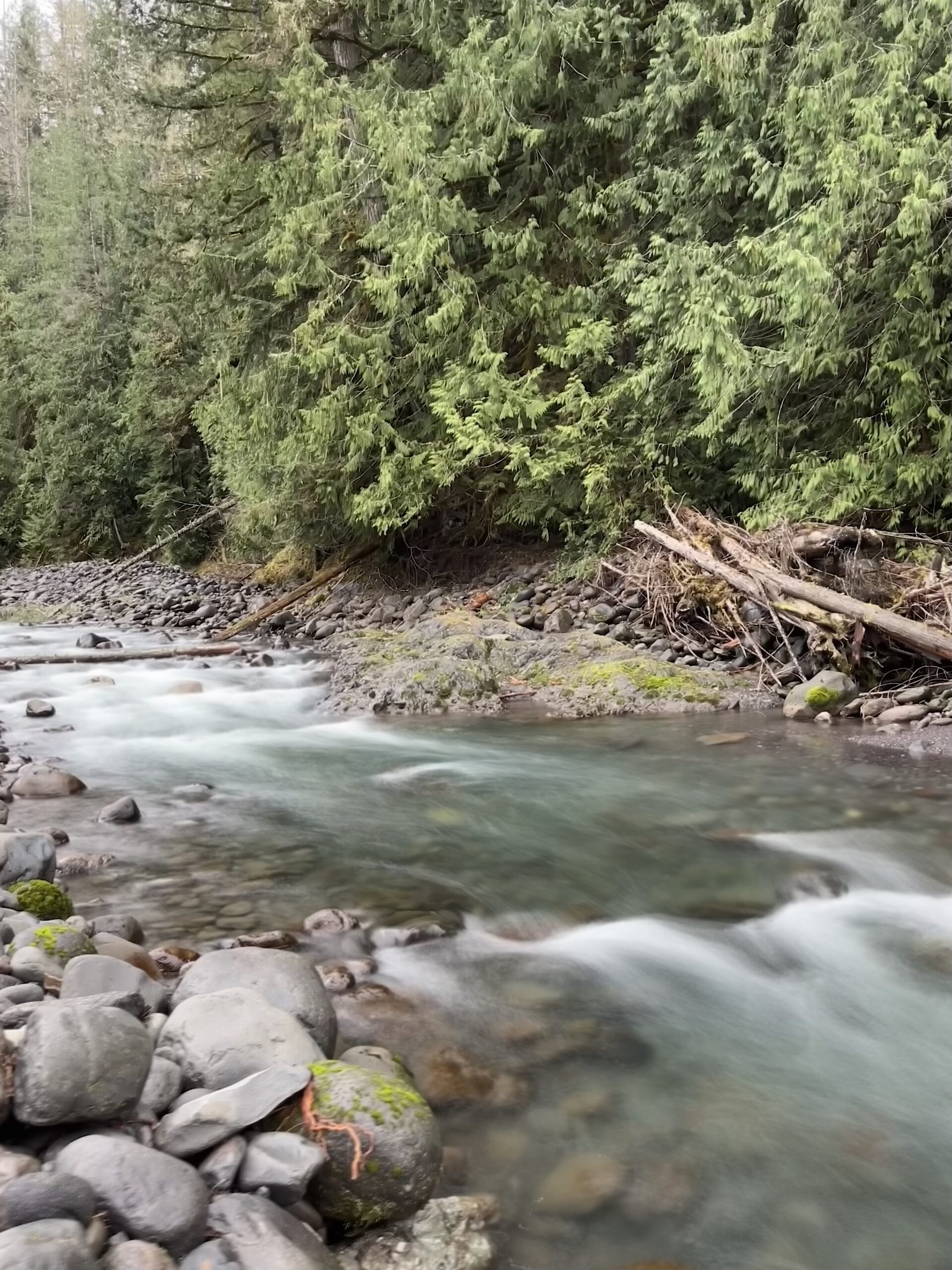 Peaceful Glacier Creek Near Mt. Baker